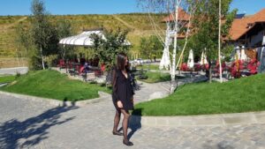 Parcul conacului Casa Timis din Bucov