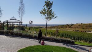 Parcul conacului Casa Timis din Bucov