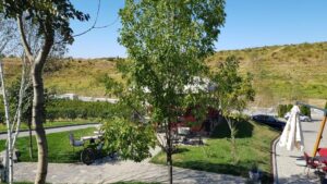 Parcul conacului Casa Timis din Bucov