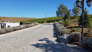 Parcul conacului Casa Timis din Bucov