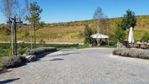 Parcul conacului Casa Timis din Bucov