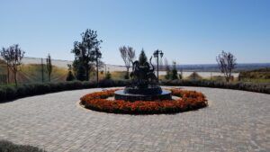 Parcul conacului Casa Timis din Bucov