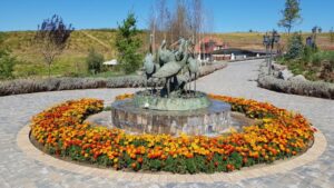 Parcul conacului Casa Timis din Bucov