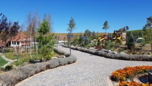 Parcul conacului Casa Timis din Bucov