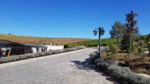 Parcul conacului Casa Timis din Bucov