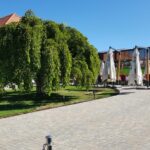 Parcul conacului Casa Timis din Bucov