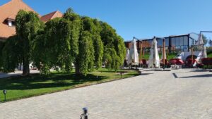 Parcul conacului Casa Timis din Bucov