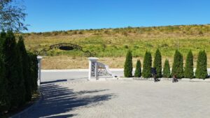 Parcul conacului Casa Timis din Bucov