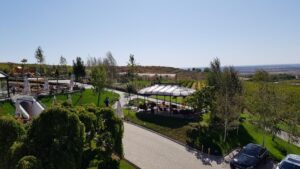 Parcul conacului Casa Timis din Bucov