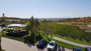 Parcul conacului Casa Timis din Bucov