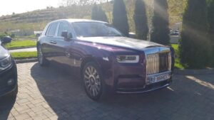 Parcul conacului Casa Timis din Bucov