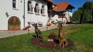 Parcul conacului Casa Timis din Bucov