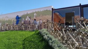 Terasele Conacului Casa Timis din Bucov