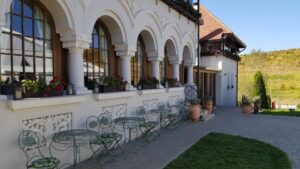 Terasele Conacului Casa Timis din Bucov