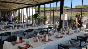 Terasele Conacului Casa Timis din Bucov