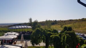 Terasele Conacului Casa Timis din Bucov