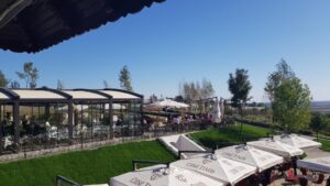 Terasele Conacului Casa Timis din Bucov