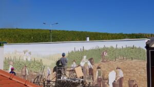 Terasele Conacului Casa Timis din Bucov