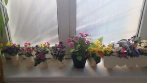 Victorita Pescarita, restaurant de peste si fructe de mare