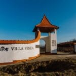 Villa Vinea