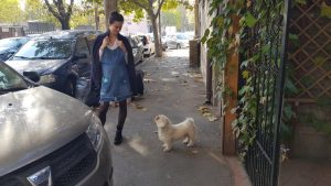 Locanta romaneasca Blid