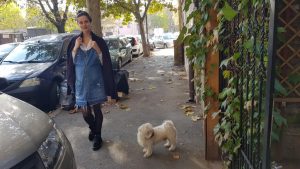 Locanta romaneasca Blid