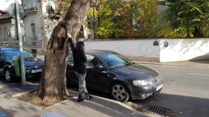 Pippo's, restaurant cu bucatarie italiana