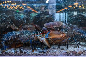 Peste si fructe de mare la Dancing Lobster