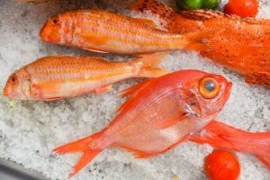 Peste si fructe de mare la Dancing Lobster