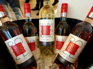 Parteneriat între Comitetul Olimpic și Sportiv Român și Asociația Jidvei - Viitor prin Educație, pentru JO Tokyo