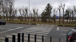 Restaurant de peste in Calea Floreasca