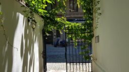 Anika, bucatarie creativa, Chef Alexandru Dumitru