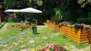 Restaurant La Ceaunu Crapat Parcul Herastrau