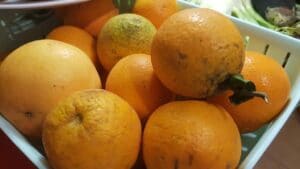 Fructe si legume de la Belli Siciliani