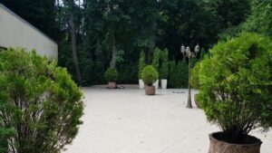 Restaurantele din Aviatorilor si Promaverii