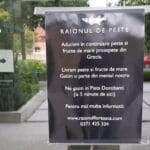 Restaurantele din Floreasca si Beller dupa pandemie