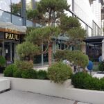 Restaurantele din Floreasca si Beller dupa pandemie