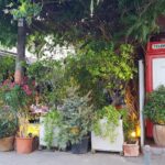 Restaurantele din Floreasca si Beller dupa pandemie