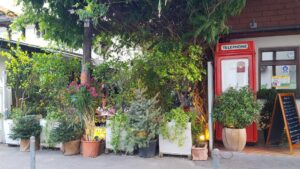 Restaurantele din Floreasca si Beller dupa pandemie