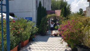 Terasa Amvrosia in vara cu pandemia