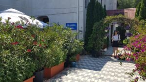 Terasa Amvrosia in vara cu pandemia