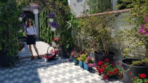 Terasa Amvrosia in vara cu pandemia