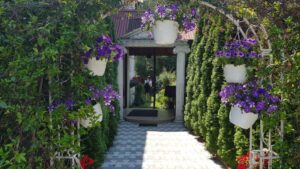 Terasa Amvrosia in vara cu pandemia