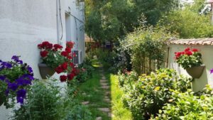 Terasa Amvrosia in vara cu pandemia