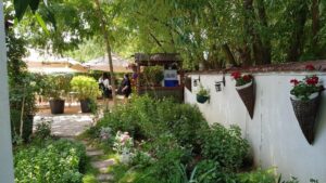 Terasa Amvrosia in vara cu pandemia