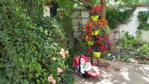 Terasa Amvrosia in vara cu pandemia