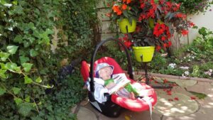 Terasa Amvrosia in vara cu pandemia