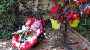 Terasa Amvrosia in vara cu pandemia