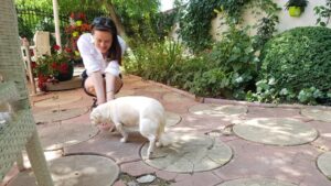 Terasa Amvrosia in vara cu pandemia