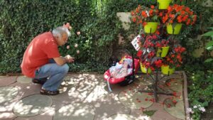 Terasa Amvrosia in vara cu pandemia